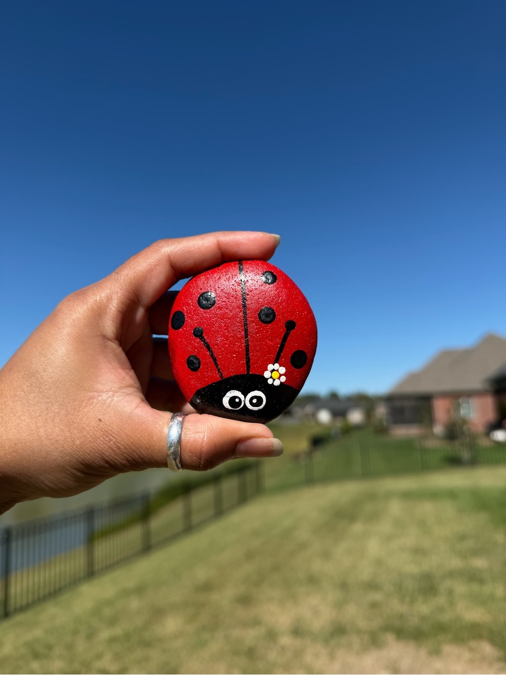 Red Ladybug Rock paint